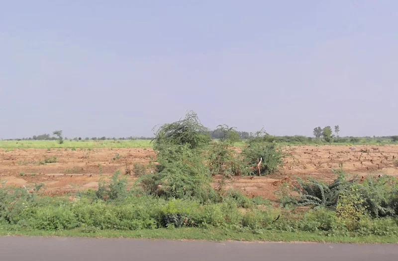 Talwandi Rana, Haryana 125005, India preview 3