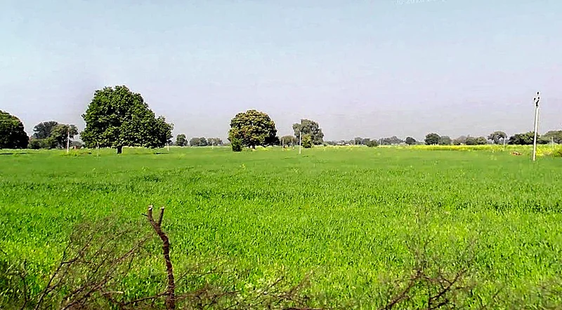 Gora, Madhya Pradesh 475685, India preview 3