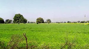 Gora, Madhya Pradesh 475685, India preview 3