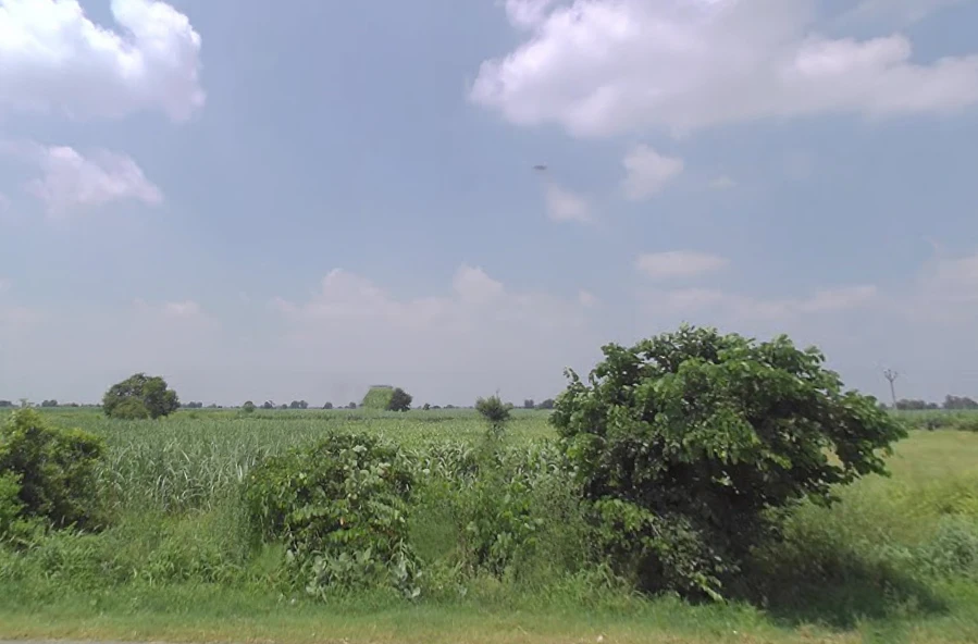 Budhana, Uttar Pradesh 251309, India