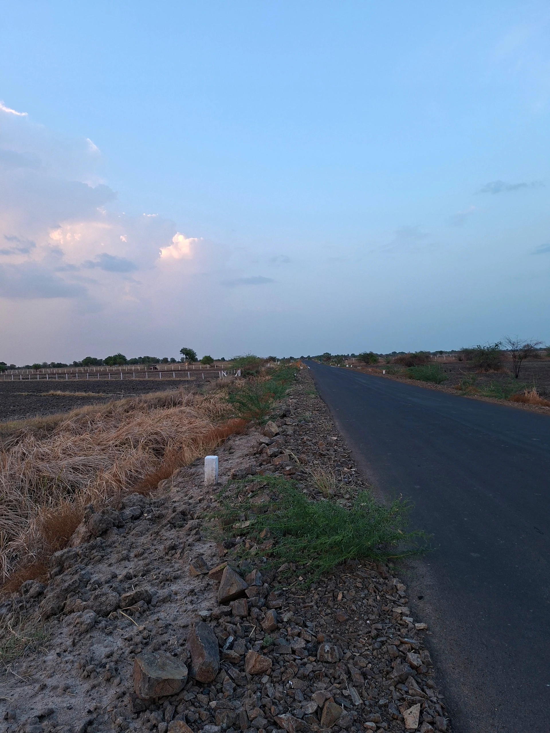 To Nalsarovar Road, Viramgam, 382170, India