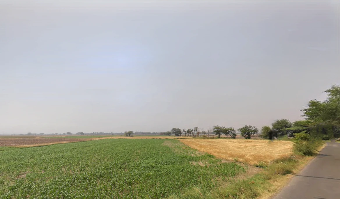 Hassangarh, Haryana 124404, India