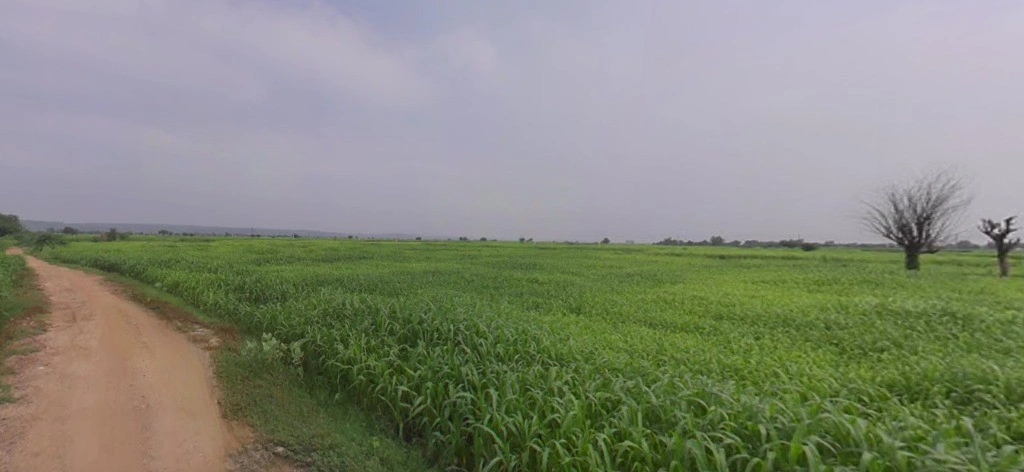 Kasrawad, Madhya Pradesh 451228, India