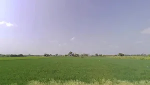 Bawal, Haryana, India preview 2