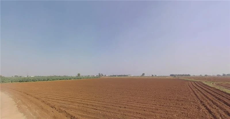 Baspa, Gujarat 384245, India