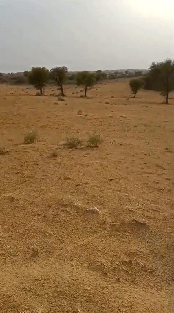 RQM2+5G Chak Beethnokh, Bikaner, Rajasthan, India
