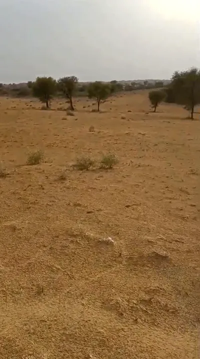 RQM2+5G Chak Beethnokh, Bikaner, Rajasthan, India preview 2
