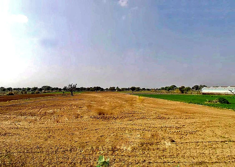 2MRC+GR Sardarpura, Rajasthan, India preview 3