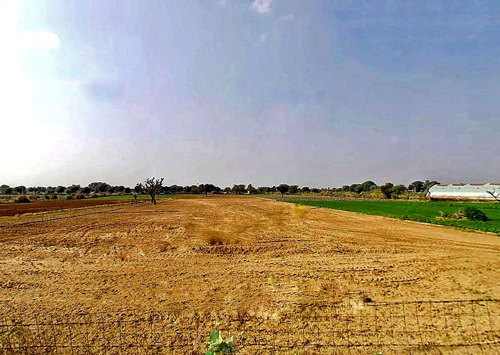 2MRC+GR Sardarpura, Rajasthan, India