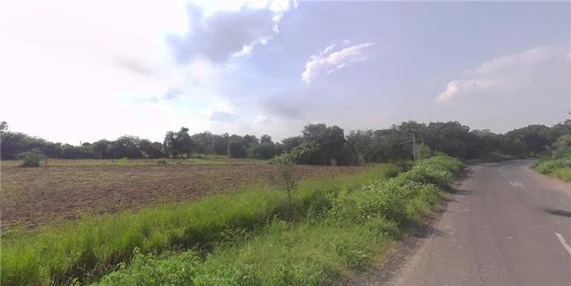 W55J+64 Daduka, Gujarat, India