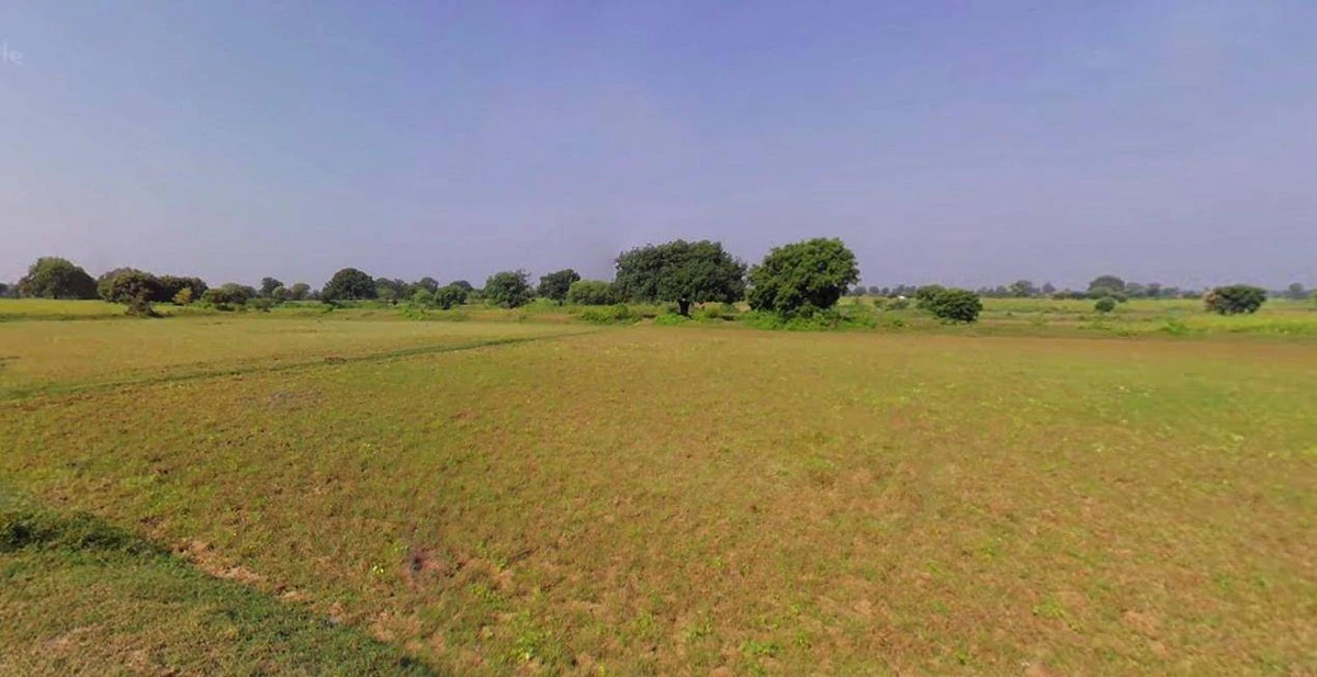 Biswan, Uttar Pradesh 261201, India