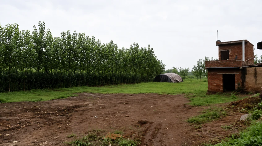 P49F+J6J, Hapur, Palwada, Uttar Pradesh, India