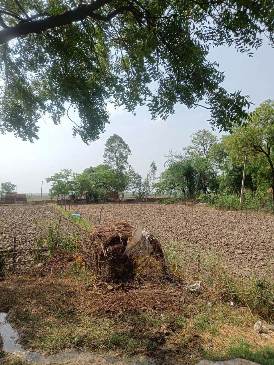 Sitapur Rd, Bargadi, Bakshi Ka Talab, Roodahi, Uttar Pradesh, India