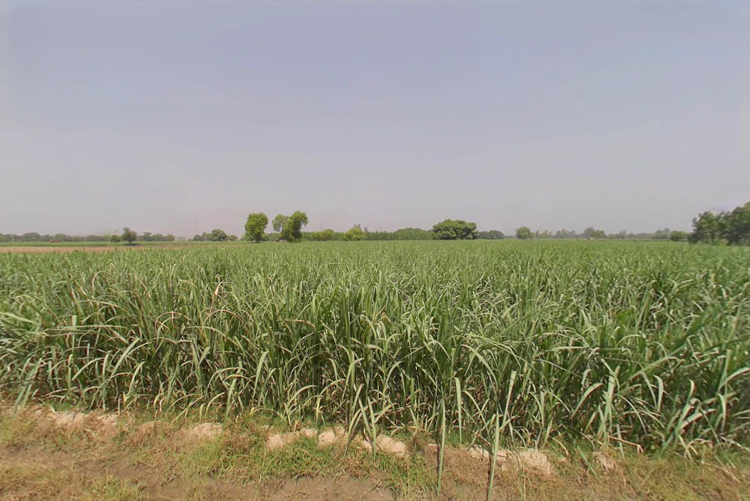 2RX4+8CF, Incholi, Uttar Pradesh 250001, India