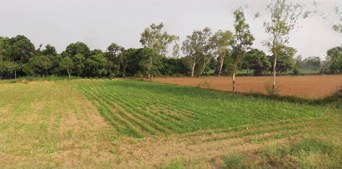 Lalganj, Uttar Pradesh 231211, India