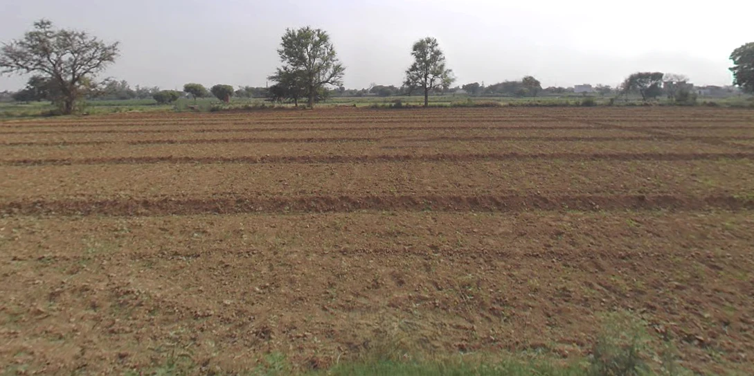 Shikarpur, Uttar Pradesh 203395, India