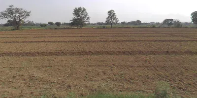 Shikarpur, Uttar Pradesh 203395, India preview 3