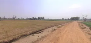 Bihta, Bihar 801103, India preview 3