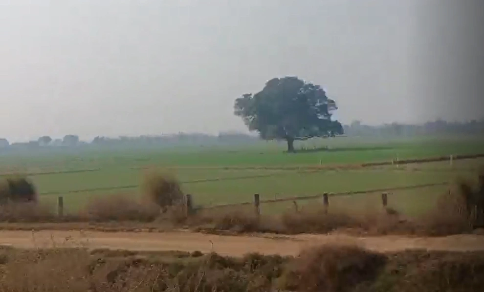 6HG8+6RH, Dhanpur, Uttar Pradesh, India