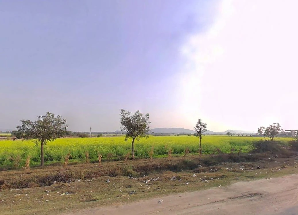 Tonk Rd, Kushtala, Rajasthan 322001, India