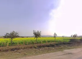 Tonk Rd, Kushtala, Rajasthan 322001, India preview 3