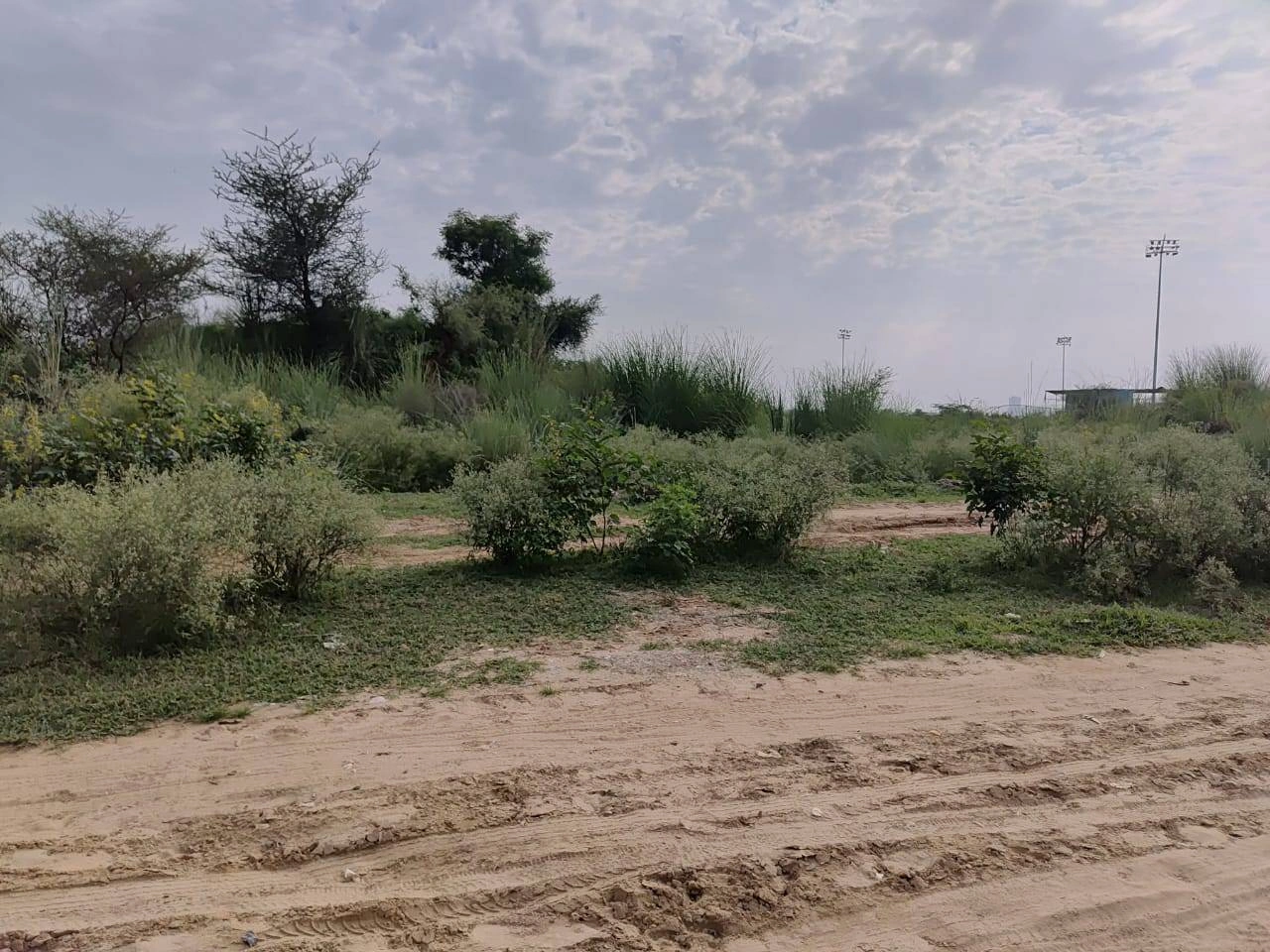 Bandhwari Rd, Balola, New Delhi, Bandhwari, Haryana 122101, India