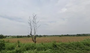 Madhupura, Madhya Pradesh 451115, India preview 2