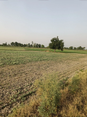 Mall Rd, Ludhiana, Punjab 141001, India