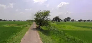 Tarana, Madhya Pradesh 456665, India preview 2