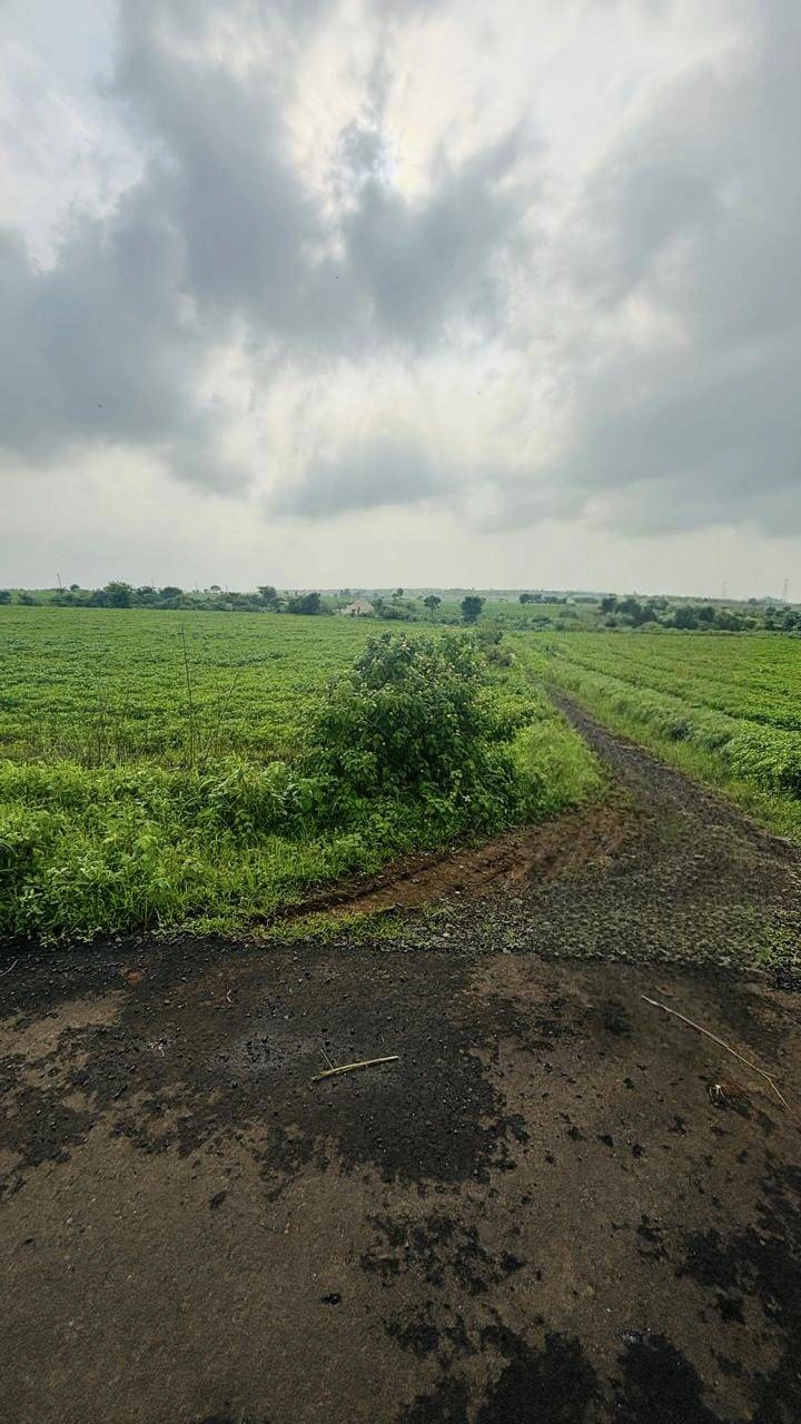 Budha Kheda, Madhya Pradesh, India