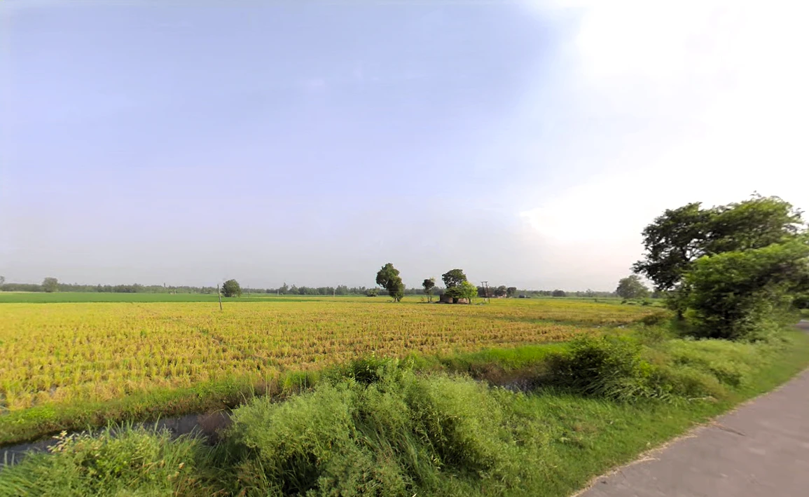 Nakur, Uttar Pradesh 247342, India