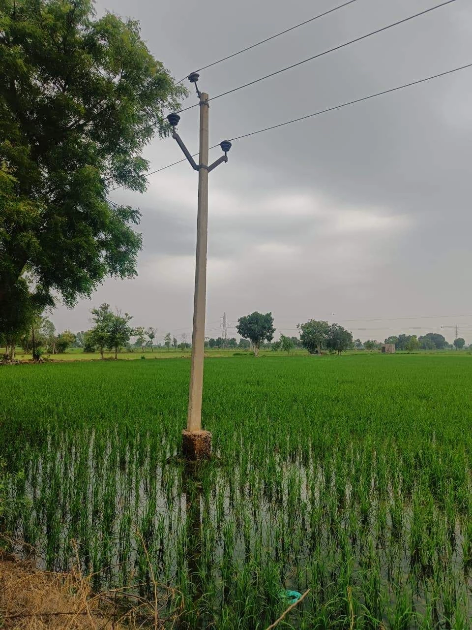 Bukharari, Mathura, Uttar Pradesh, India