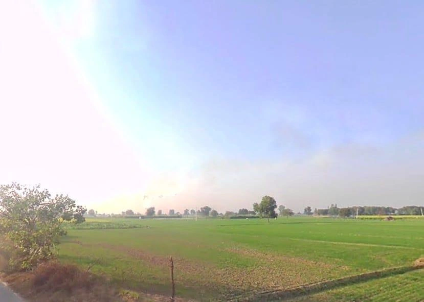 Ghoghrian, Haryana 126115, India