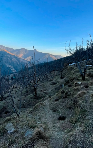 VXX7+3J Jandaur, Kangra, Himachal Pradesh, India preview 3