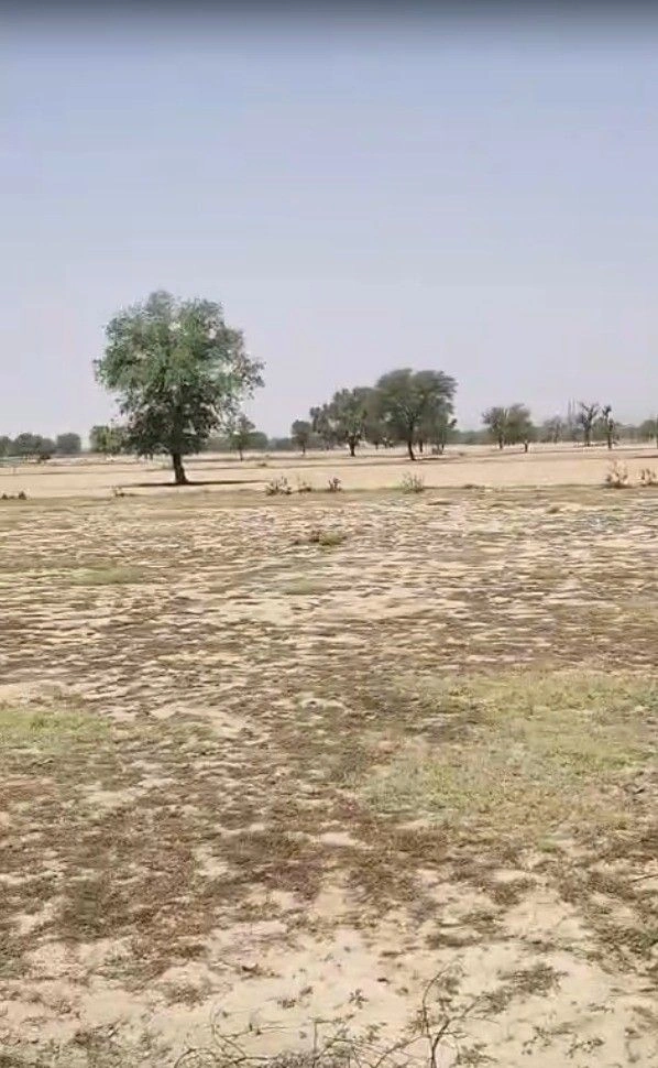 Kathoomar, Rajasthan 321605, India preview 3