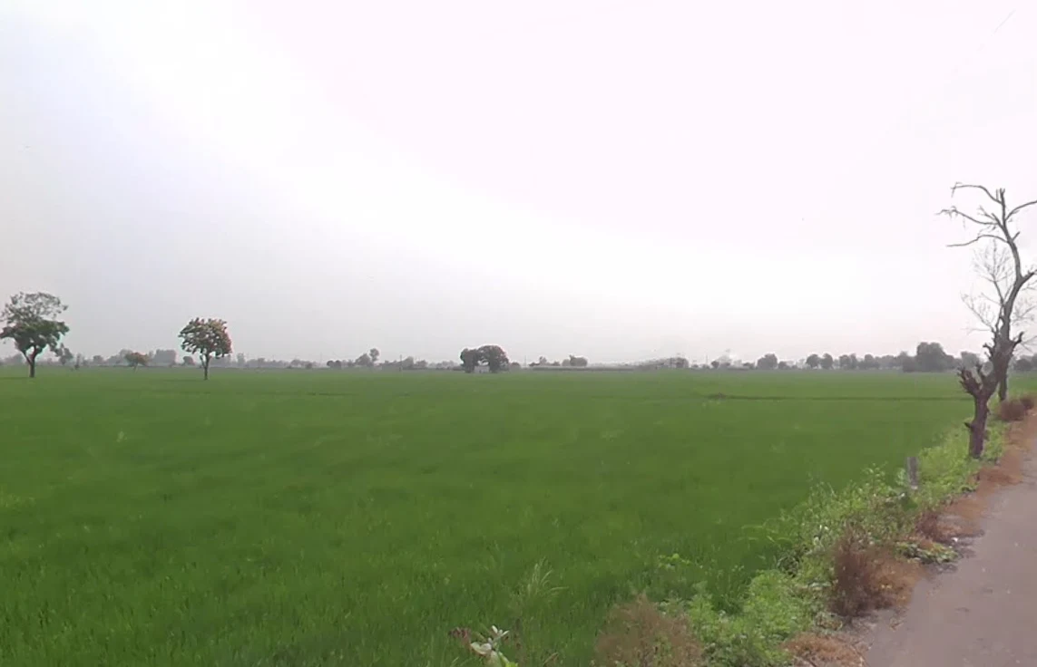 Urlana Kalan, Haryana, India preview 2