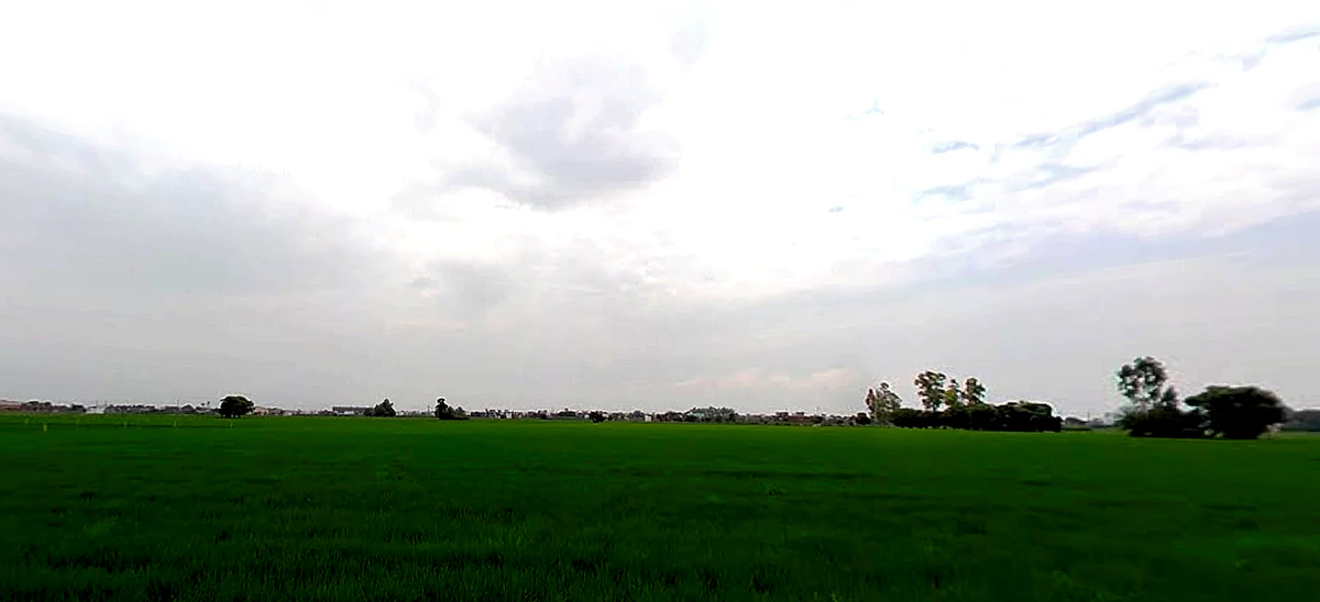 Rajpura, Punjab, India