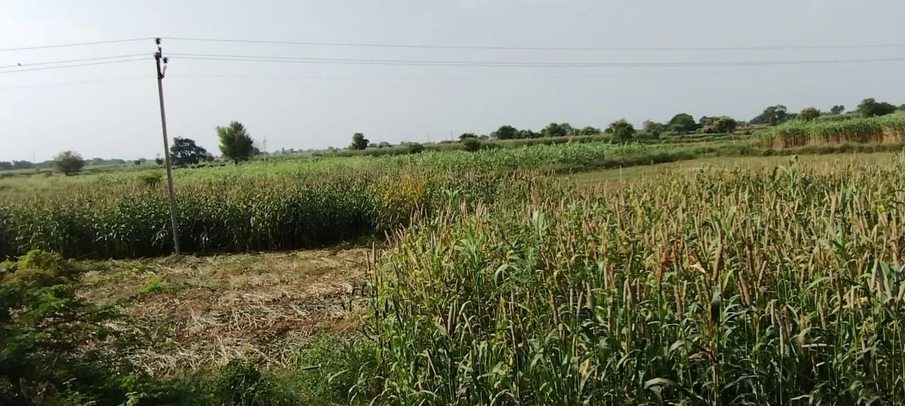 Gola Ka Bas, Rajasthan 301410, India
