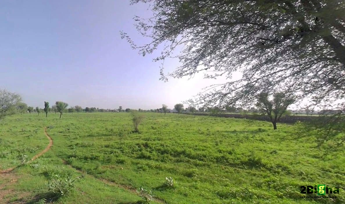 Goriwala, Haryana 125103, India