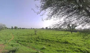 Goriwala, Haryana 125103, India preview 3