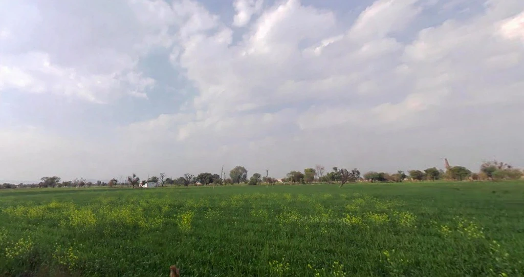Mala Khera, Rajasthan 301406, India