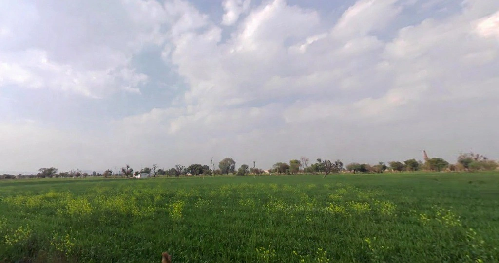 Mala Khera, Rajasthan 301406, India