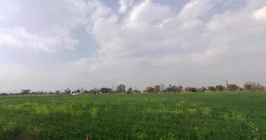Mala Khera, Rajasthan 301406, India preview 3