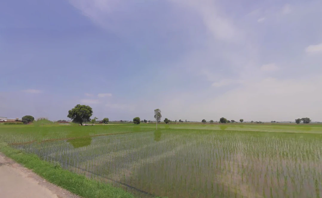 7VJX+4RJ, Balaana, Haryana 132145, India