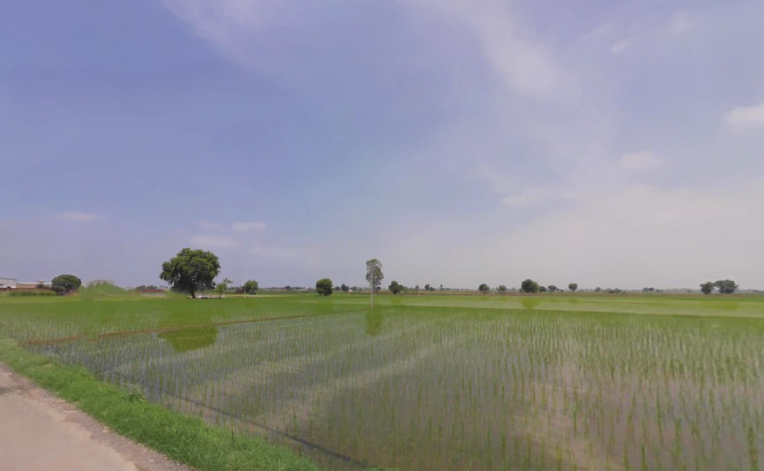 7VJX+4RJ, Balaana, Haryana 132145, India