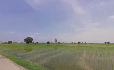 7VJX+4RJ, Balaana, Haryana 132145, India preview 3