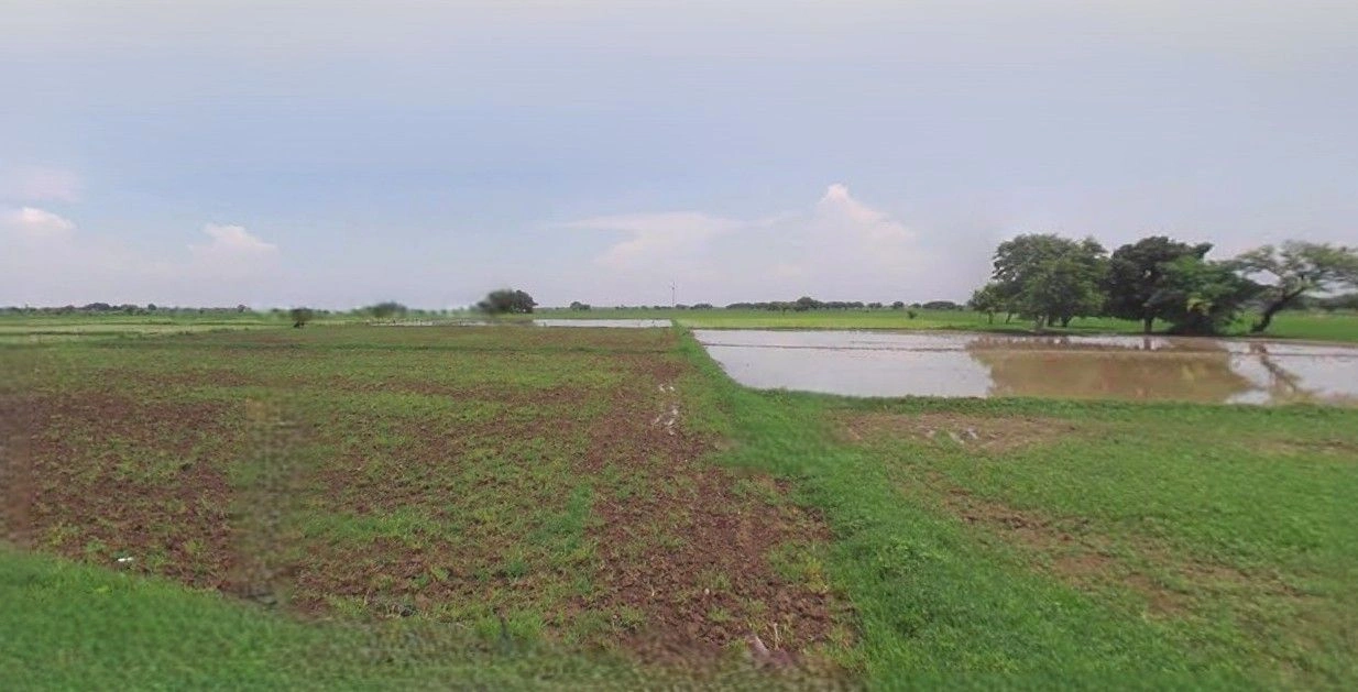 Bazpur, Uttarakhand 262401, India preview 2