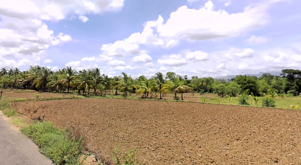 Chittur, Kerala, India