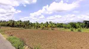 Chittur, Kerala, India preview 2