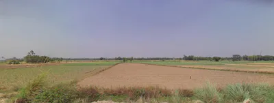 Maharshi Dayanand Gram Delhi-Haridwar, National Highway, near Bahadarbad, Uttarakhand 249405, India preview 2